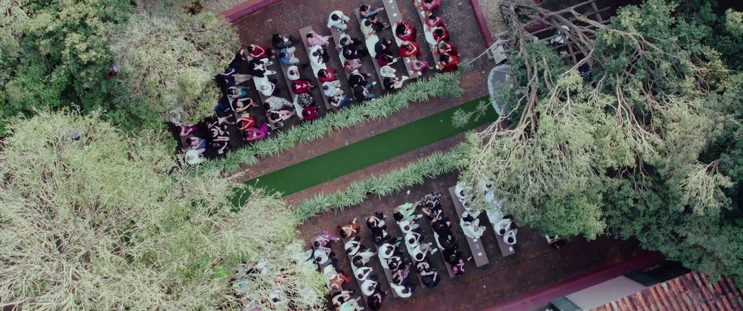 Cenas de filmes de casamento da Diapason